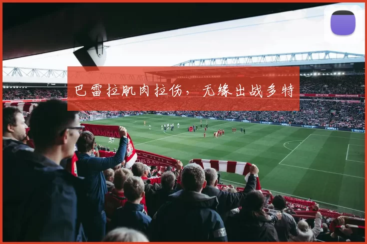 巴雷拉肌肉拉伤，无缘出战多特