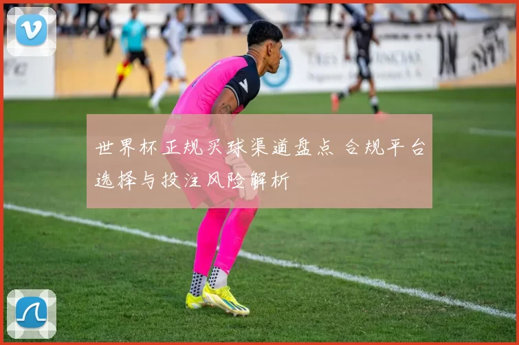 世界杯正规买球渠道盘点 合规平台选择与投注风险解析