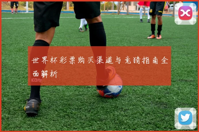 世界杯彩票购买渠道与竞猜指南全面解析